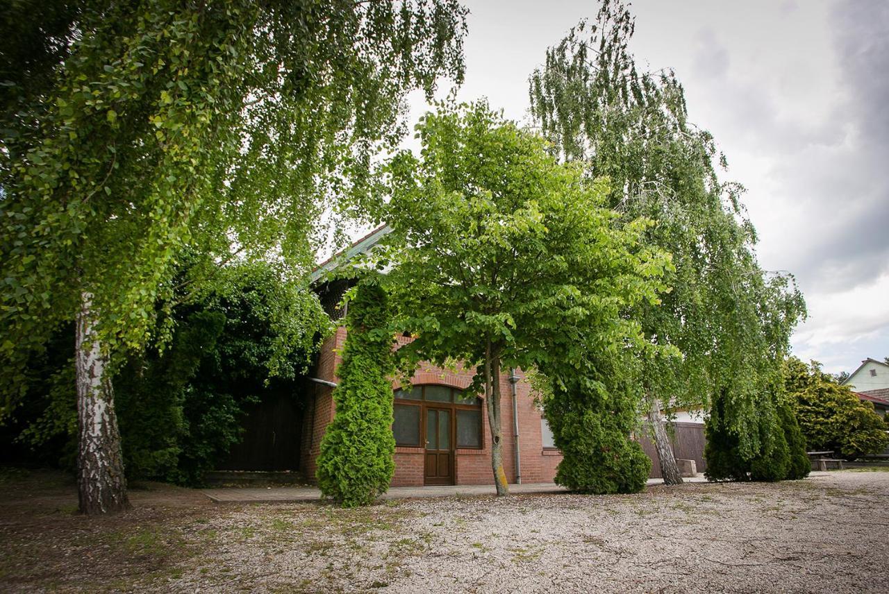 Forrás vendégház Dunaegyhaza Exterior foto