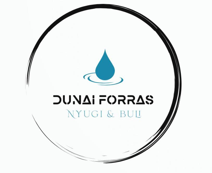 Forrás vendégház Dunaegyhaza Exterior foto